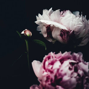 Meet your Posher, Blair